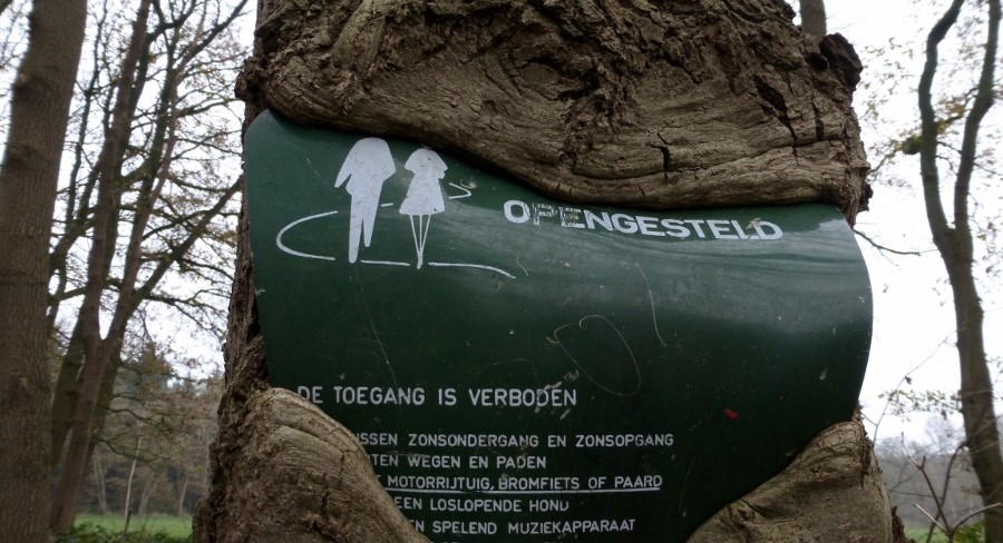 bospaden openbaar, openbare weg, wegenlegger, wegenwet, onderhoudsplicht, onttrekken